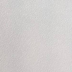 Acoustic Ceiling Tile