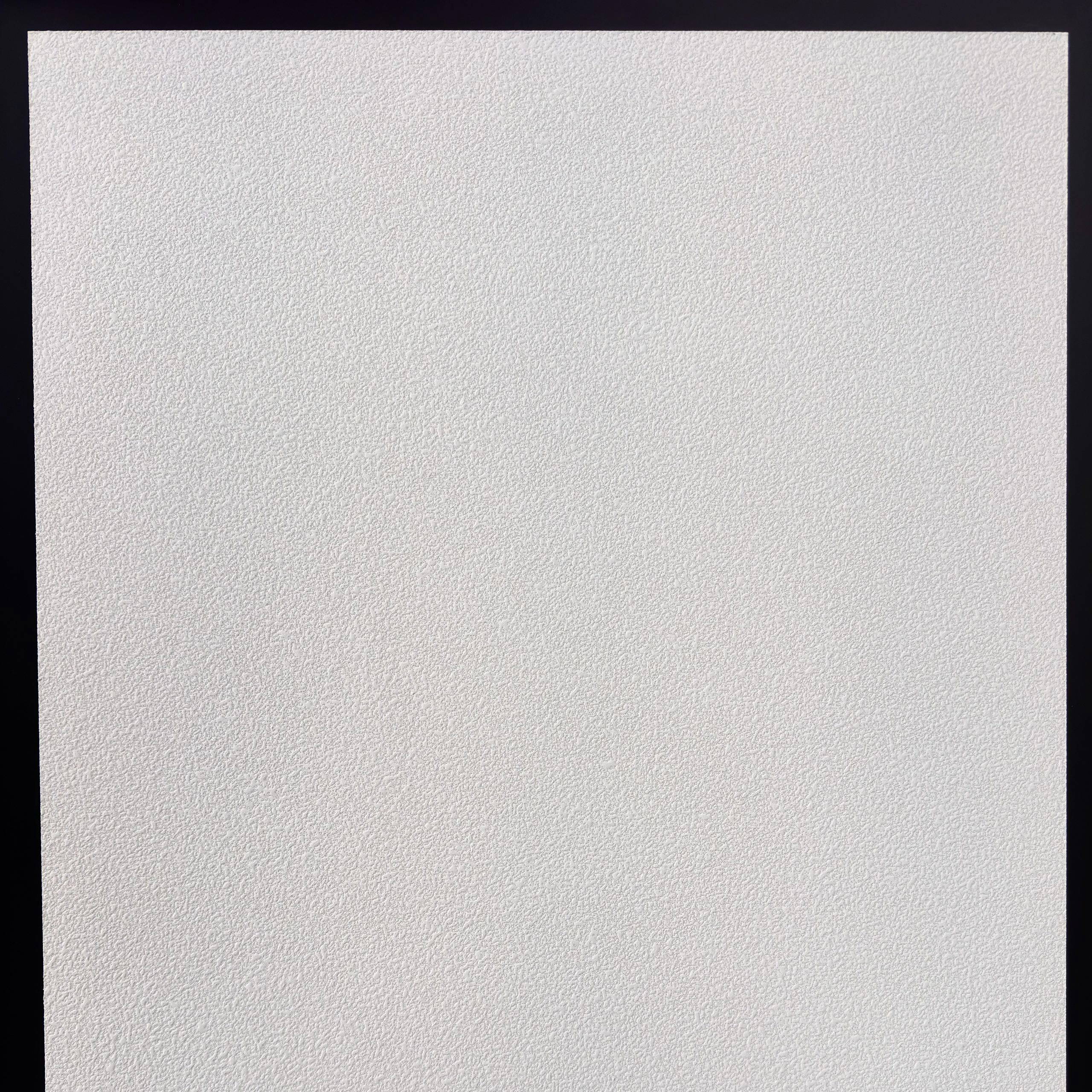 Acoustic Ceiling Tile - Image 2