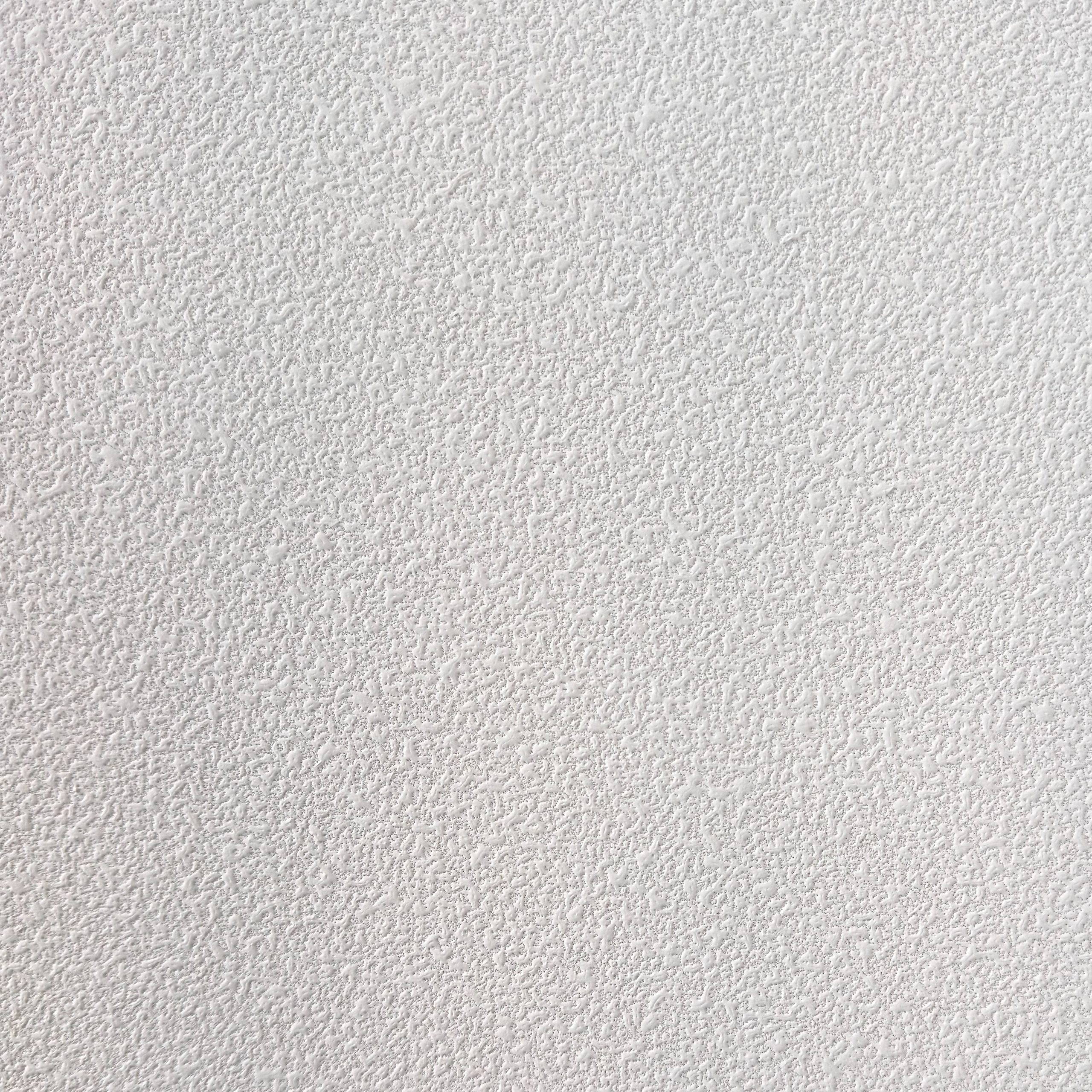 Acoustic Ceiling Tile